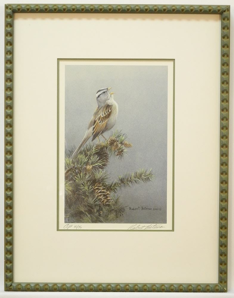 Limited Edition Print signed Robert Bateman, 10 1/2 x 7", "White Crowned Sparrow", AP 70/76. (1 of 4)