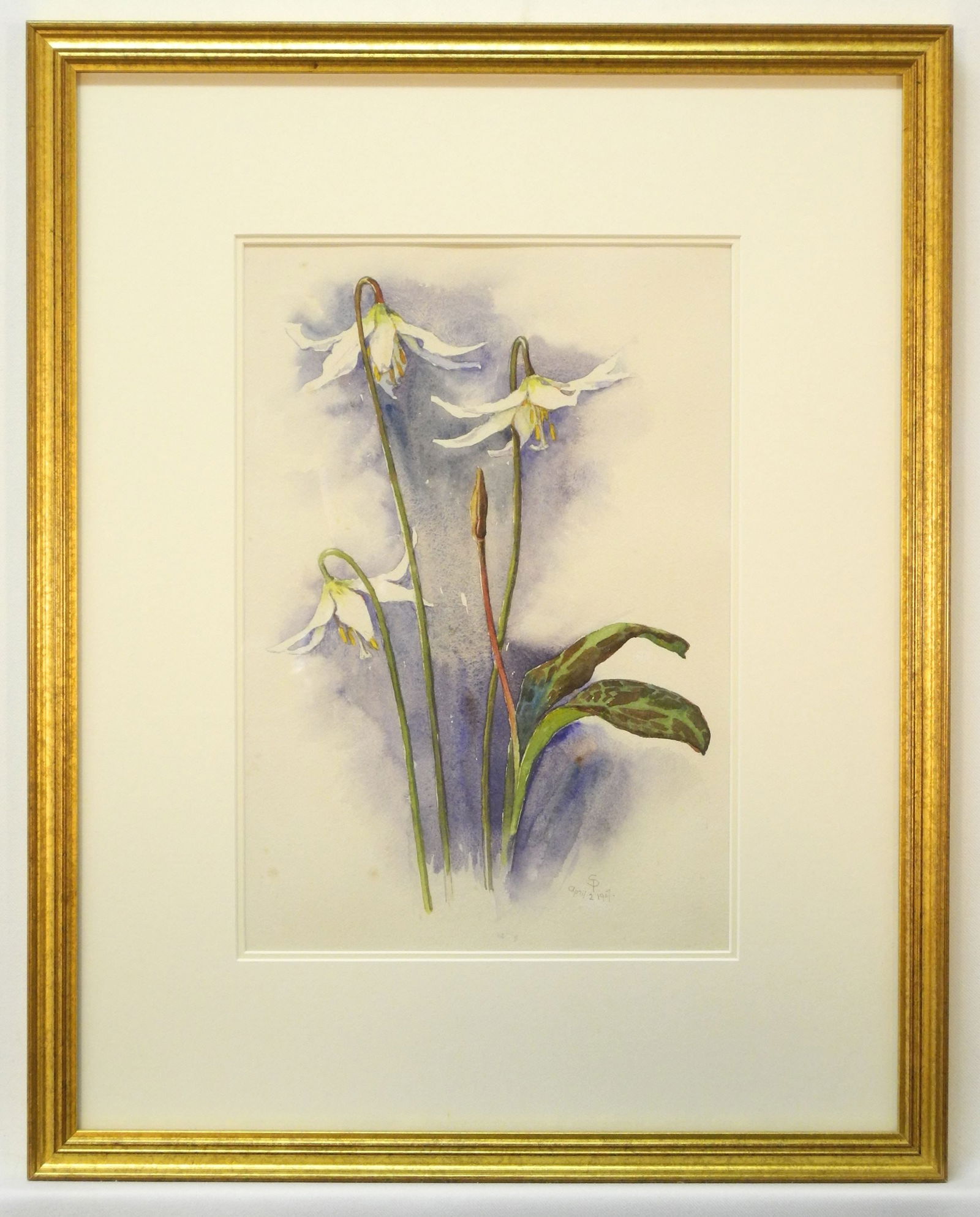 Watercolour Monogrammed SP (Sophie Pemberton) April 2, 1907, 12 1/4 x 8 1/2", "Fawn Lillies". (1 of 4)