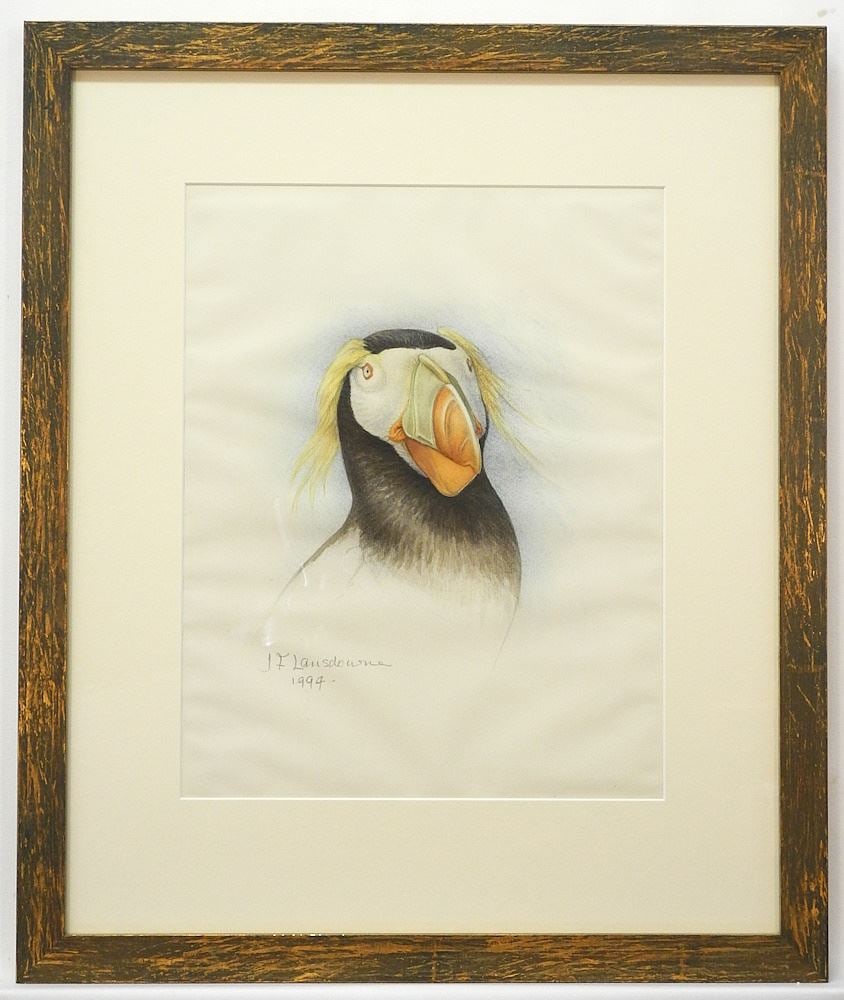 Watercolour signed J.F. Landsdowne 1994, 15" x 12", "Puffin". (1 of 6)