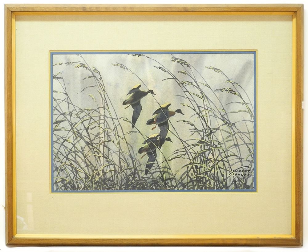 Watercolour signed Robert Taylor, 14 1/8" x 21 1/8","Ducks in Flight". (1 of 4)