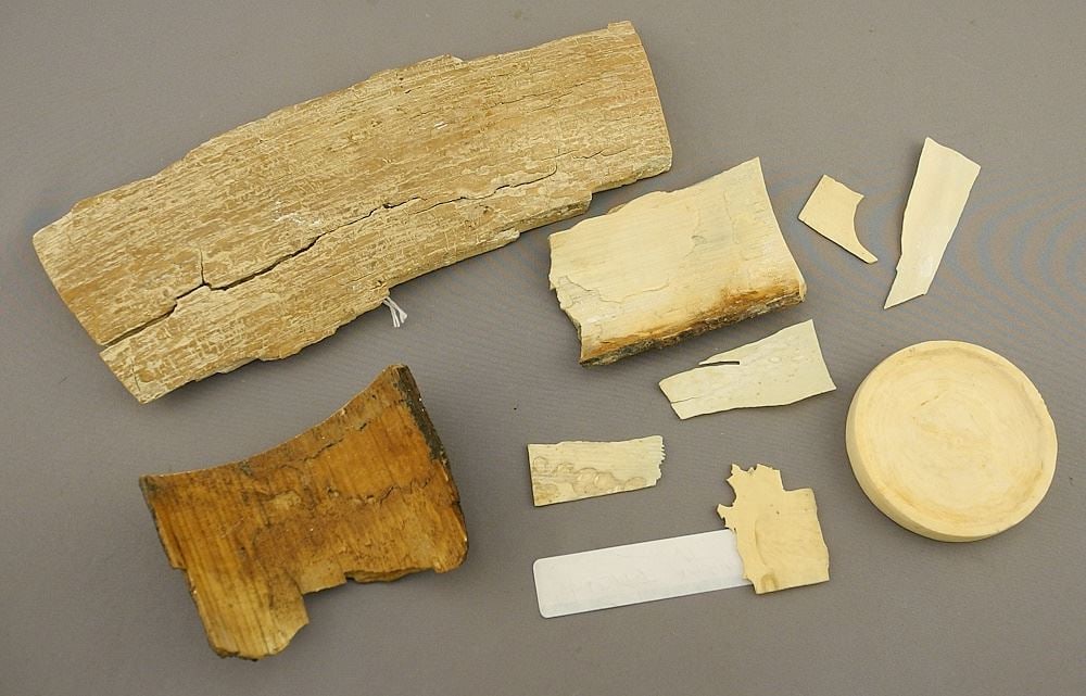 Collection of Mammoth Ivory Fragments & Tusk Section, 8 1/2"L, NO EXPORT.: Collection of Mammoth Ivory Fragments & Tusk Section, 8 1/2"L, NO EXPORT.
