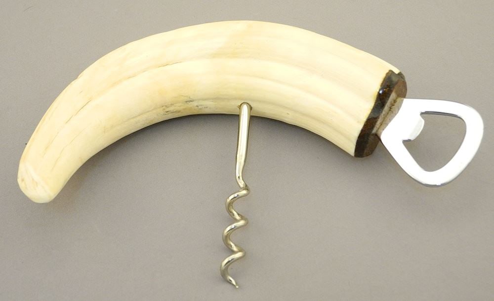 Boar Tusk Corkscrew & Bottle Opener, 6 7/8"L, NO EXPORT.: Boar Tusk Corkscrew & Bottle Opener, 6 7/8"L, NO EXPORT.