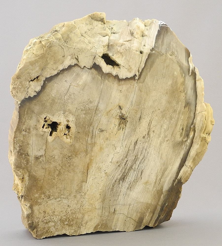 Petrified Wood Block, 10 3/4" x 9 3/4" x 1 3/4". (1 of 3)