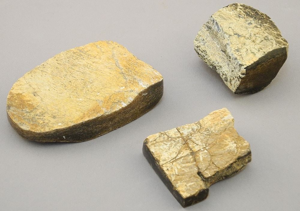 3 Polished Dinosaur Fossils. (1 of 3)