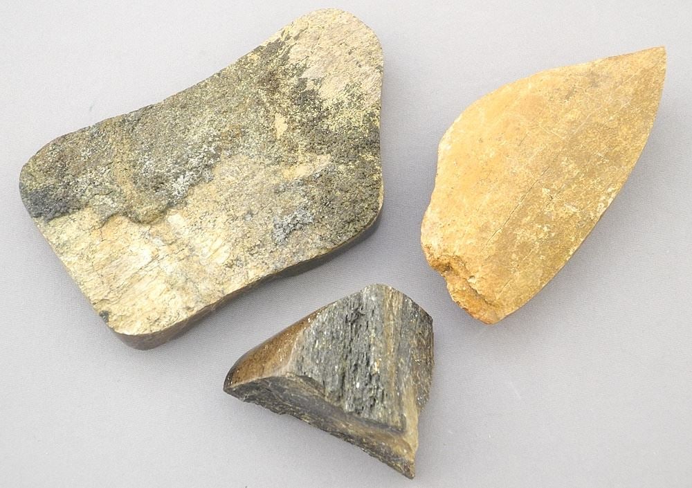 3 Dinosaur Fossils, 1 7/8" - 3 3/4" W. (1 of 3)