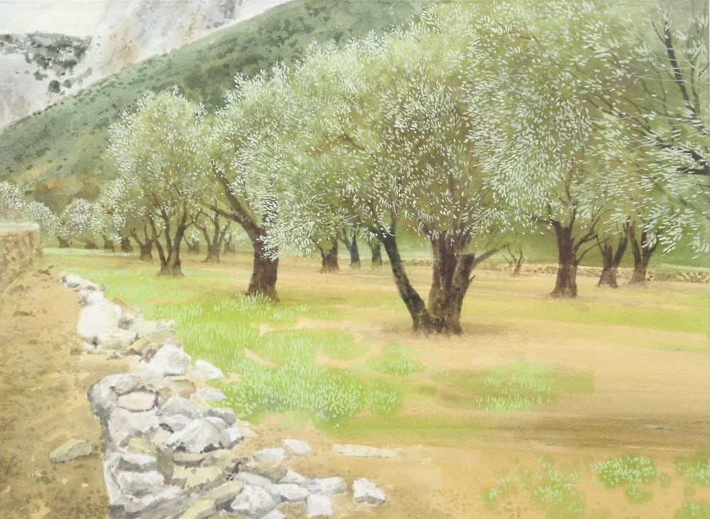 Watercolour Signed Michael DesRochers, 17 1/4" x 23", "Olive Trees". (1 of 6)