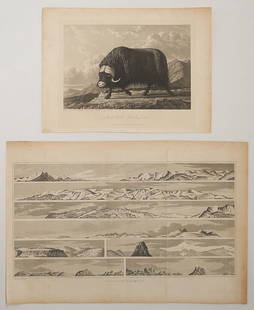 "Arctic Landscapes" Engraving by Bushnan, pub. March 1, 1819 John Murray.: "Arctic Landscapes" Engraving by Bushnan, pub. March 1, 1819 John Murray.