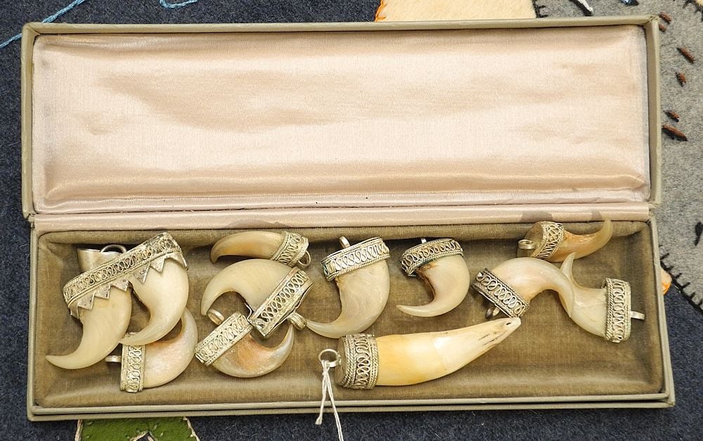 Group of Mounted Tiger Claws & Teeth, NO EXPORT.: Group of Mounted Tiger Claws & Teeth, NO EXPORT.