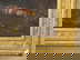 item-193923105=6