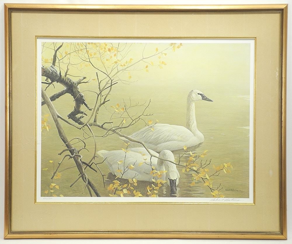 Limited Edition Print signed Robert Bateman, 20 1/2" x 27", "Trumpet Swans & Aspen". (1 of 4)