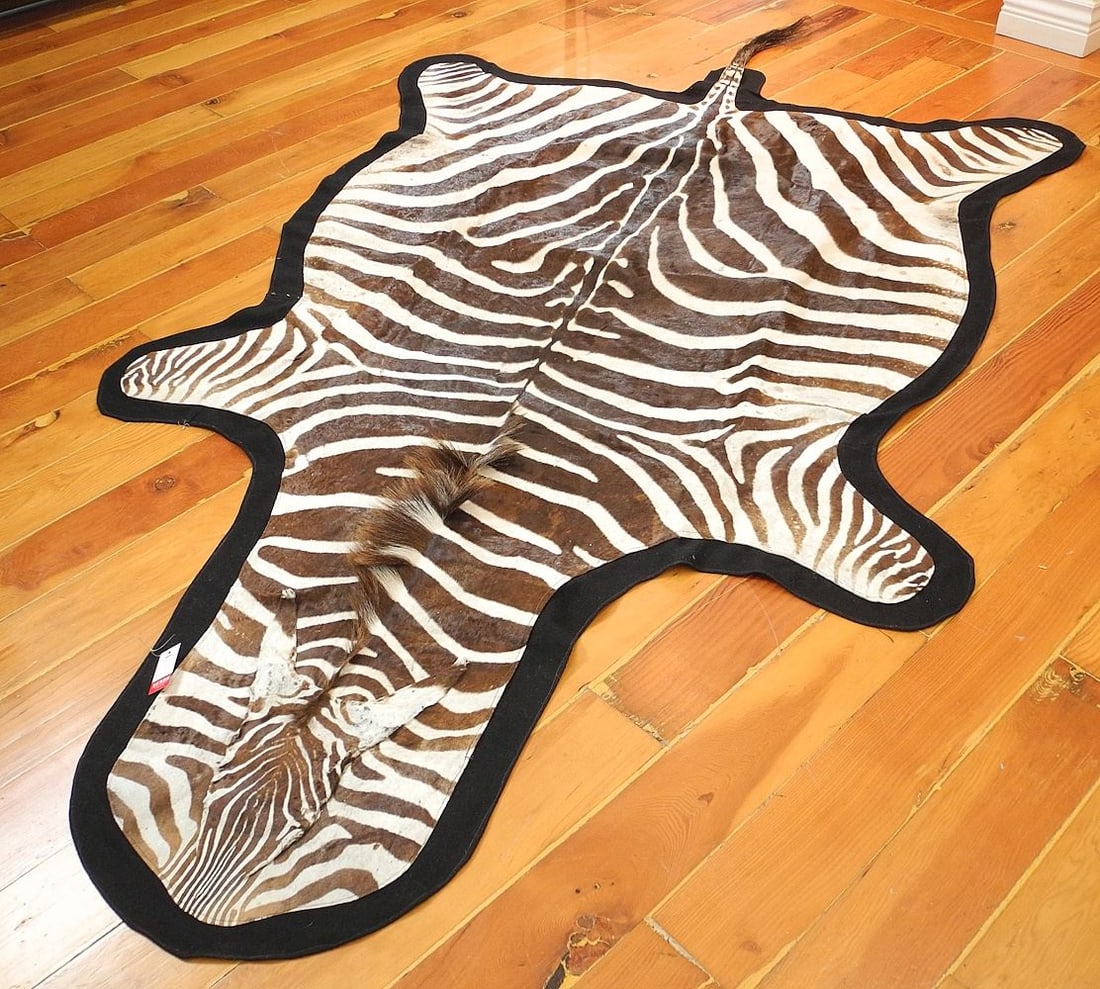 Zebra Hide with Felt Backing, 103"L. (1 of 7)
