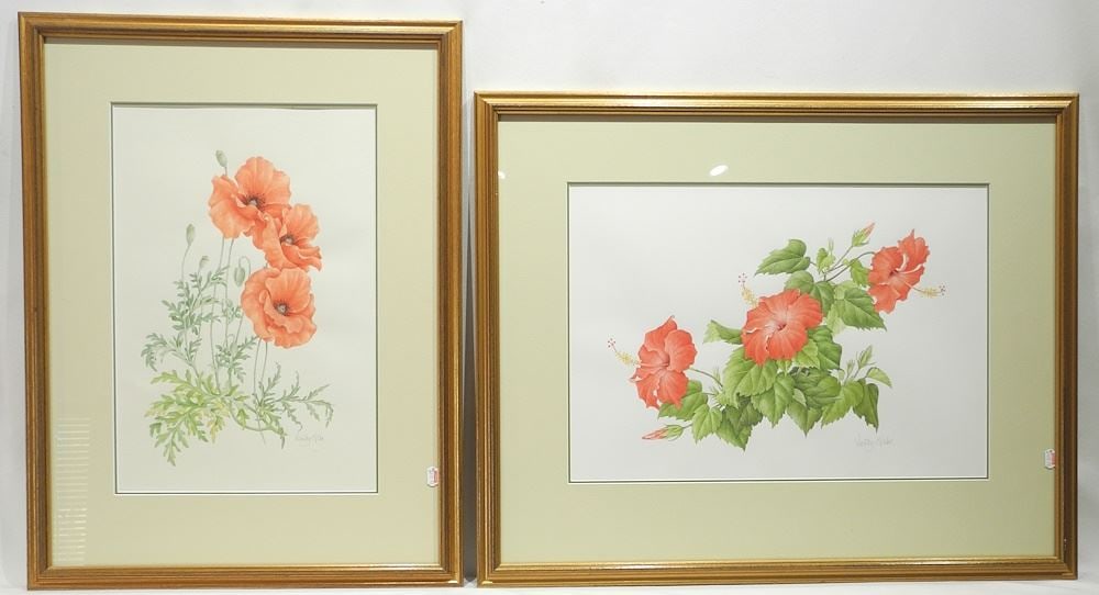 Two Watercolour signed Wendy Gibb, Larger 13 x 18 1/2", "Red Poppy" & "Hibiscus". (1 of 8)