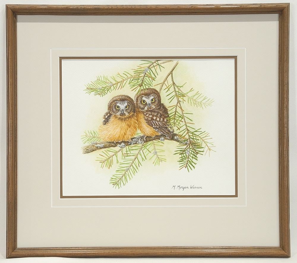 Watercolour signed M. Morgan Warren, 8 1/2 x 10 5/8", "Woodland Waifs- Saw-Wet Owls".: Watercolour signed M. Morgan Warren, 8 1/2 x 10 5/8", "Woodland Waifs- Saw-Wet Owls".