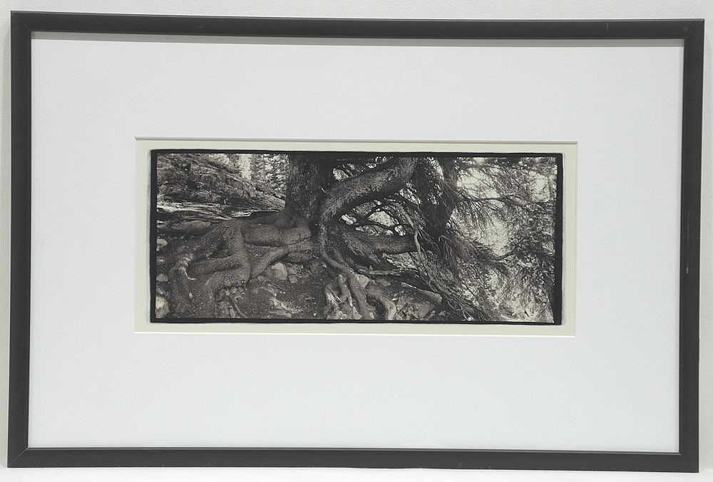 Black & White Photograph signed Verso Ernie Kroeger 2000, 5" x 11 1/ 2", "Sitting Tree...".: Black & White Photograph signed Verso Ernie Kroeger 2000, 5" x 11 1/ 2", "Sitting Tree...".