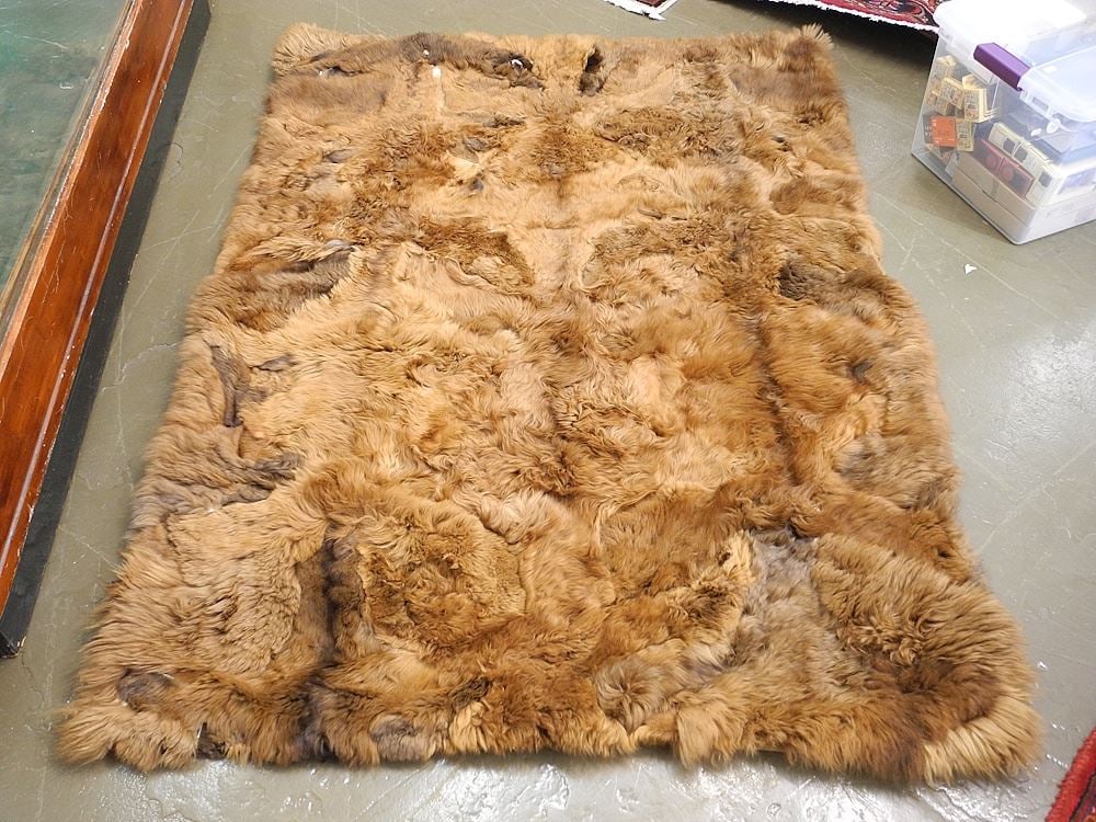 Brown Bear Fur Rug, Approx. 4' x 5'10", As Found, No Export. (1 of 2)