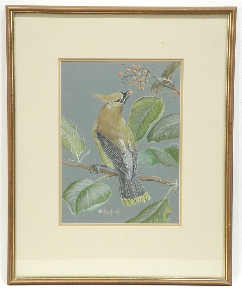 Mixed Media signed E.M. Chadwick, 10 1/8" x 7 1/2", "Cedar Waxwing in Arbutus". (1 of 3)