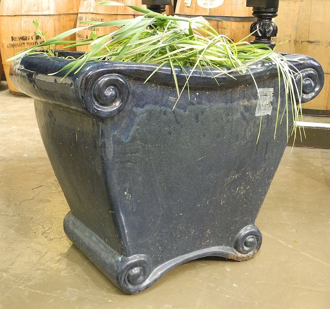 Planter with Plant.: Planter with Plant.