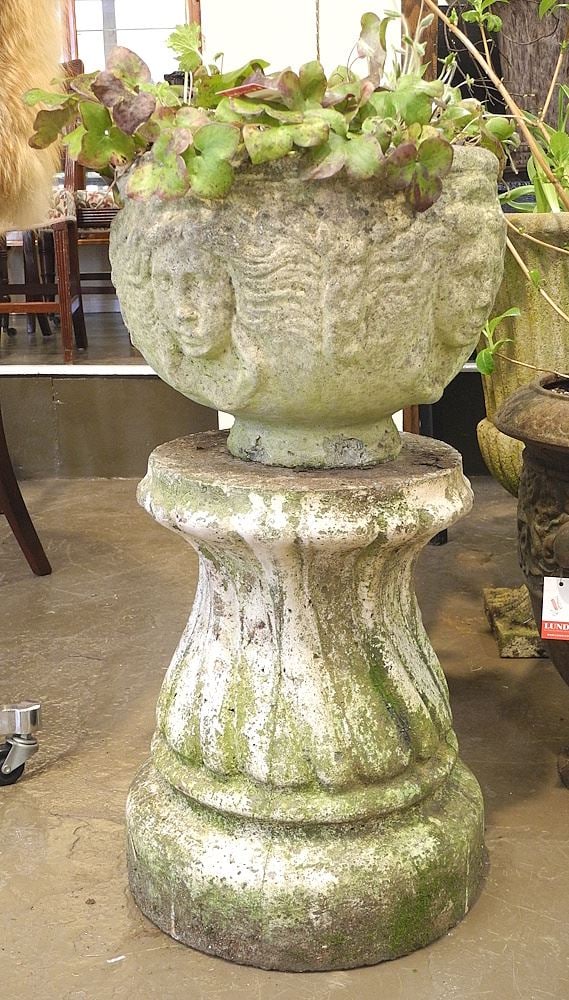 Planter with Plant.: Planter with Plant.