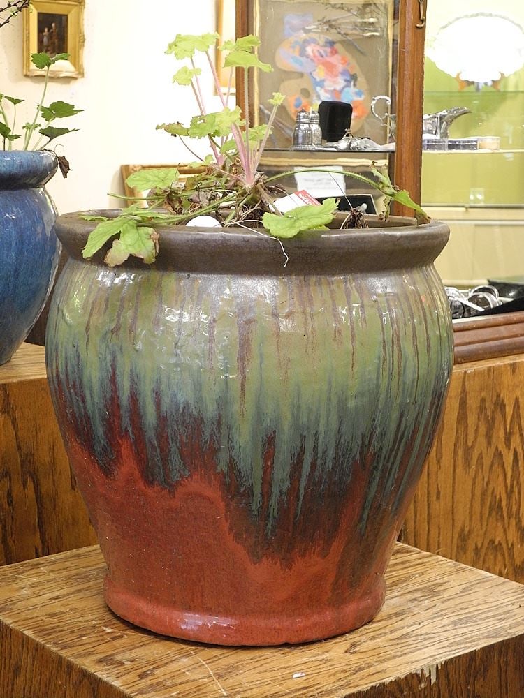 Planter with Plant.: Planter with Plant.