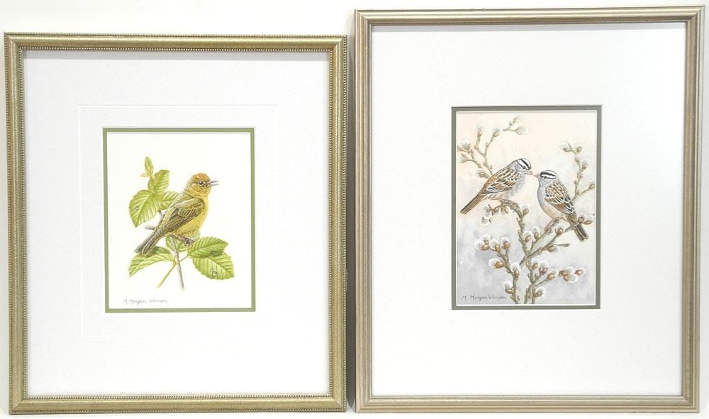 Two Watercolour signed M. Morgan Warren, Larger 7 x 5", "Signs of Spring" & "Warbler". (1 of 8)