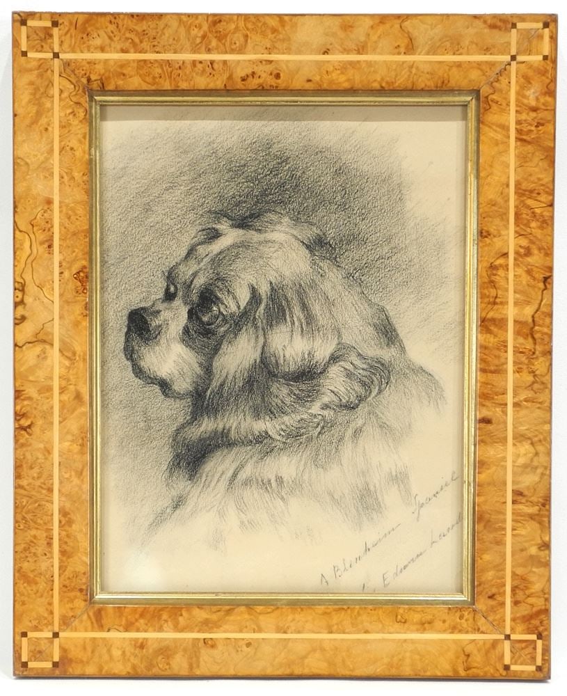 Graphite signed Edwin Landseer, 12" x 9", "A Blenheim Spaniel" (1 of 7)