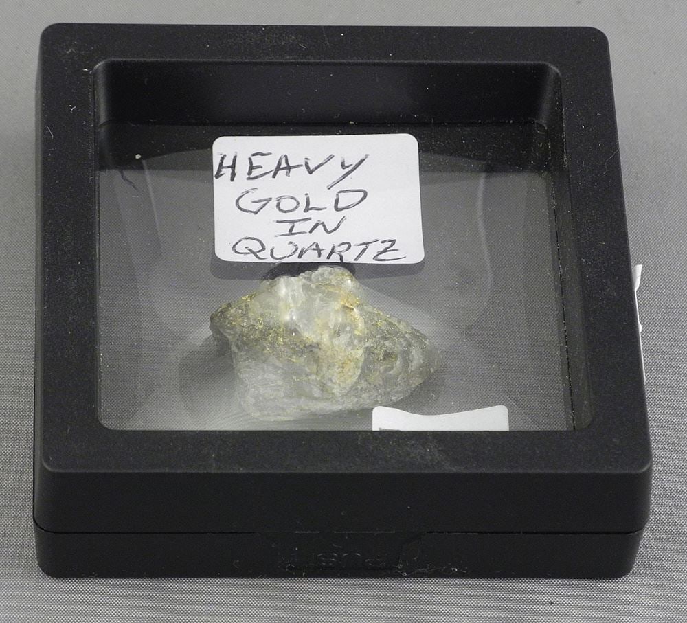 Heavy Gold in Quartz Specimen, Cased 7.49g.: Heavy Gold in Quartz Specimen, Cased 7.49g.