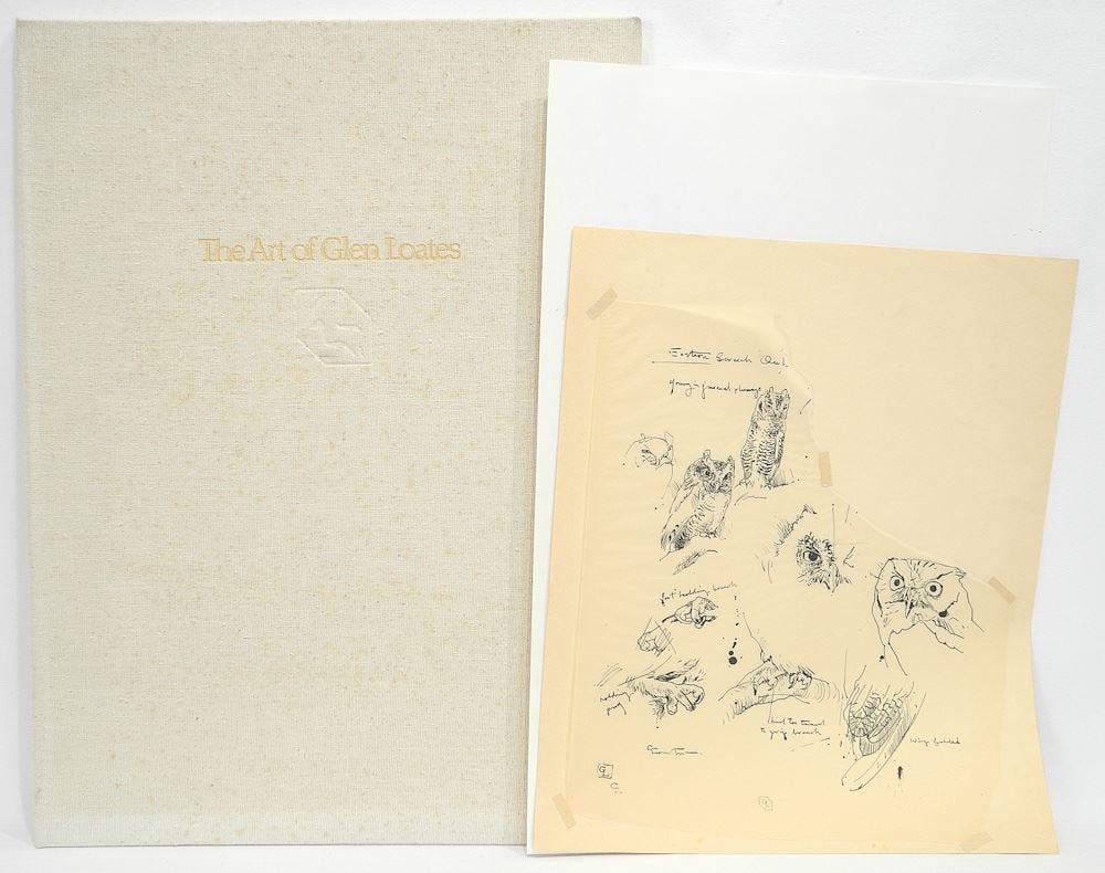 Pen Drawings signed GL (Glen Loates) , 11 1/2 x 10 3/4", "Eastern Screech Owl". (1 of 6)