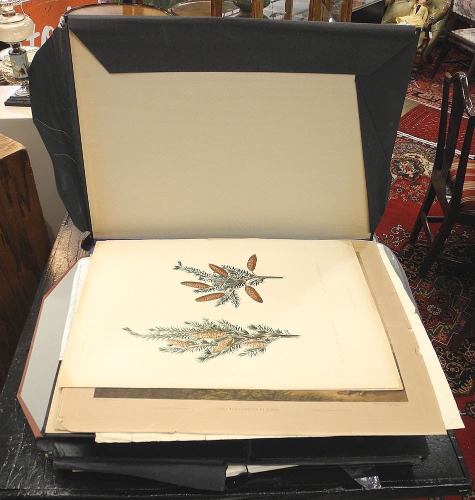 Large Collection of Antique Etchings , Engravings and Printed Material. (1 of 2)