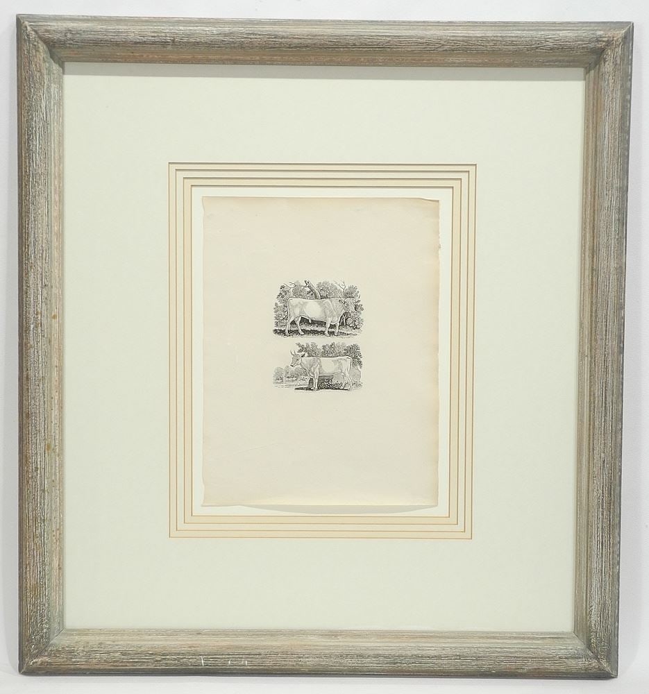 Proof Wood Engraving by Thomas Berwick, 11 x 8 1/2", "Cows".: Proof Wood Engraving by Thomas Berwick, 11 x 8 1/2", "Cows".