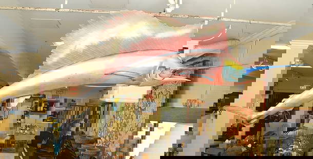 Taxidermy Swordfish Approximately 9'L.: Taxidermy Swordfish Approximately 9'L.