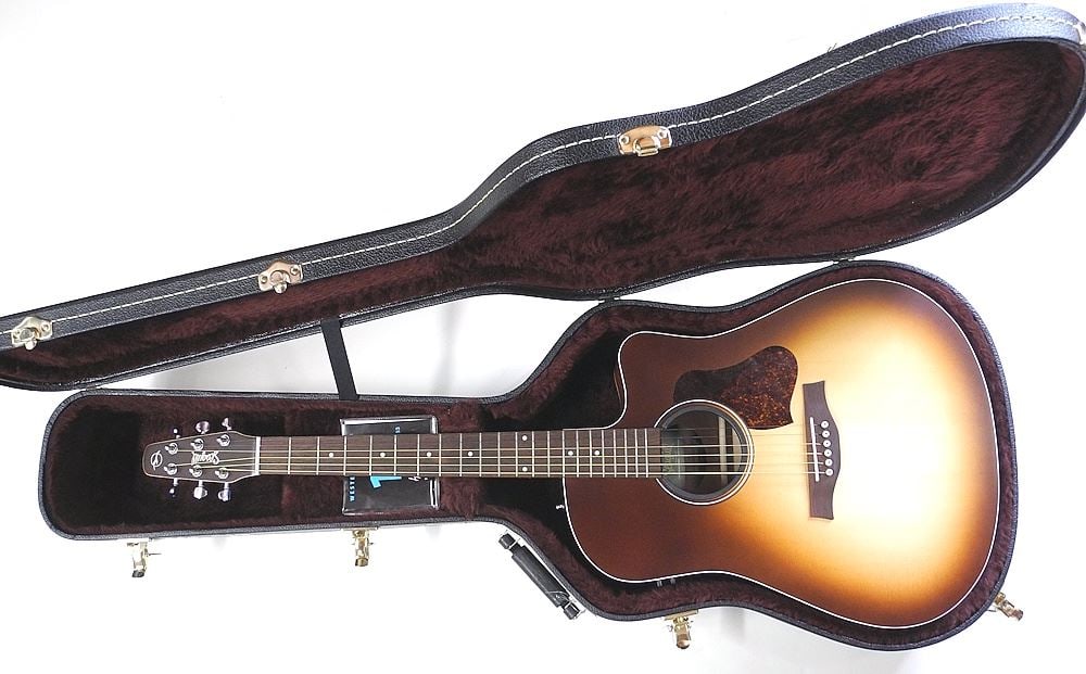 Seagull Entourage Autumn Burst Acoustic Guitar 046478002435 with Hard Case.: Seagull Entourage Autumn Burst Acoustic Guitar 046478002435 with Hard Case.