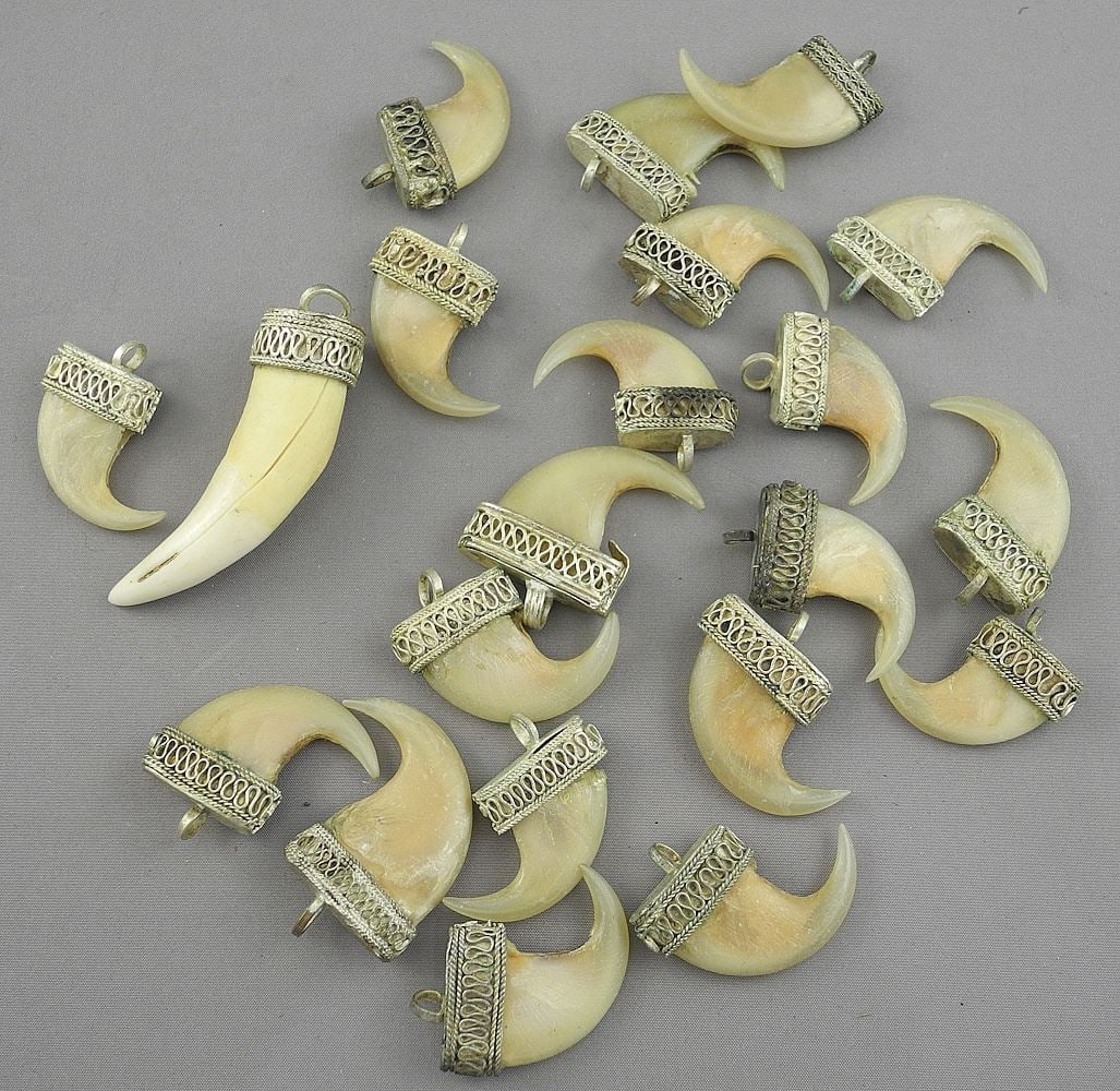 Group of Mounted Tiger Claws (20 pieces + 1 tooth).: Group of Mounted Tiger Claws (20 pieces + 1 tooth).