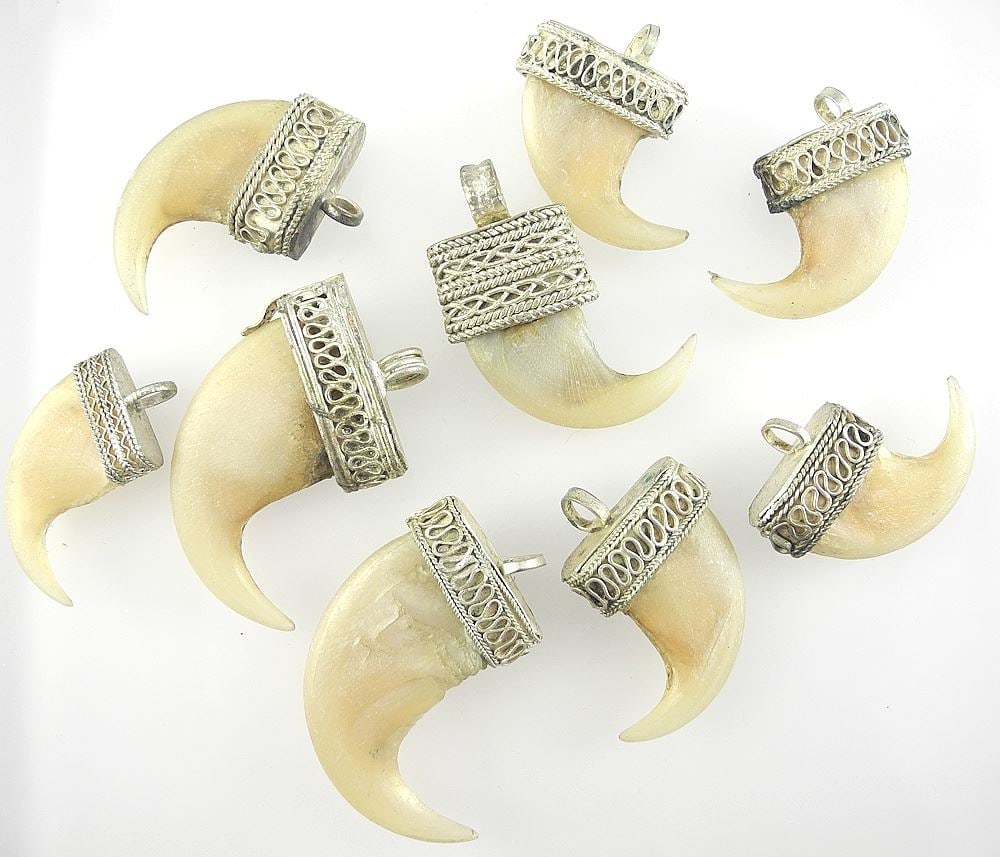 Group of Mounted Tiger Claws. (1 of 2)