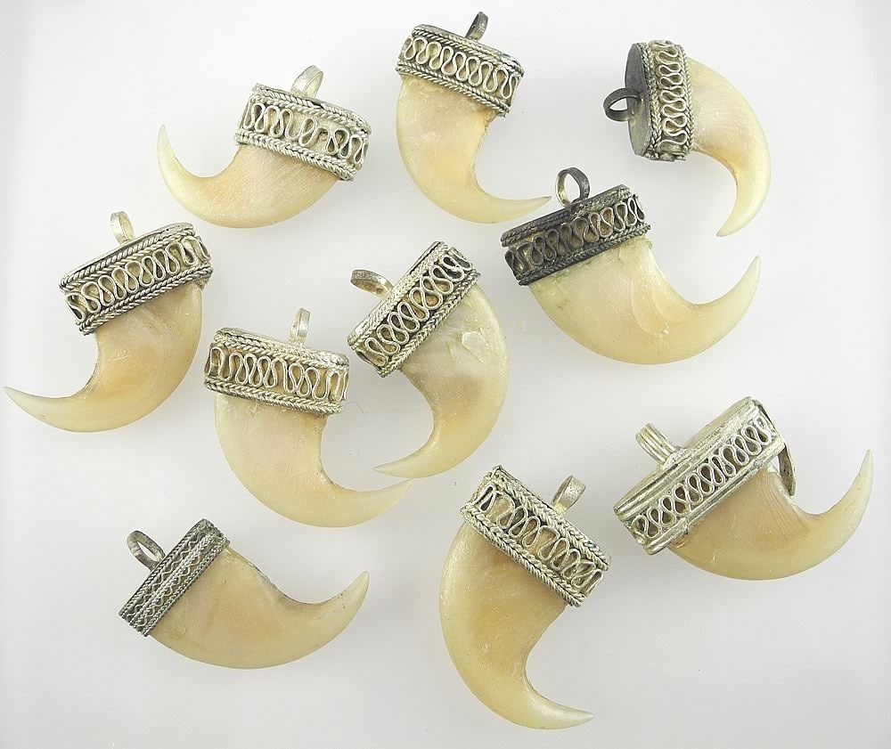 Group of Mounted Tiger Claws. (1 of 2)