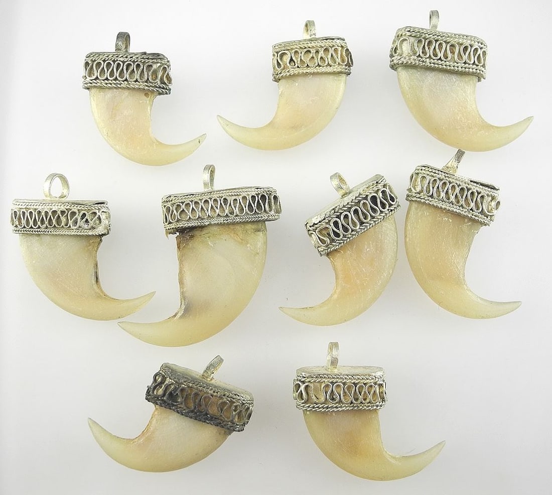 Group of Mounted Tiger Claws. (1 of 2)