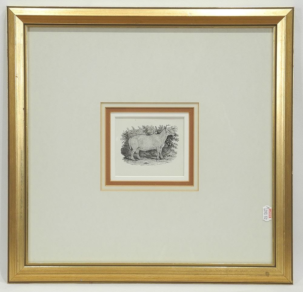 Wood Engraving by Thomas Bewick, 3 1/8 x 3 1/2", "Sheep in Profile". (1 of 2)