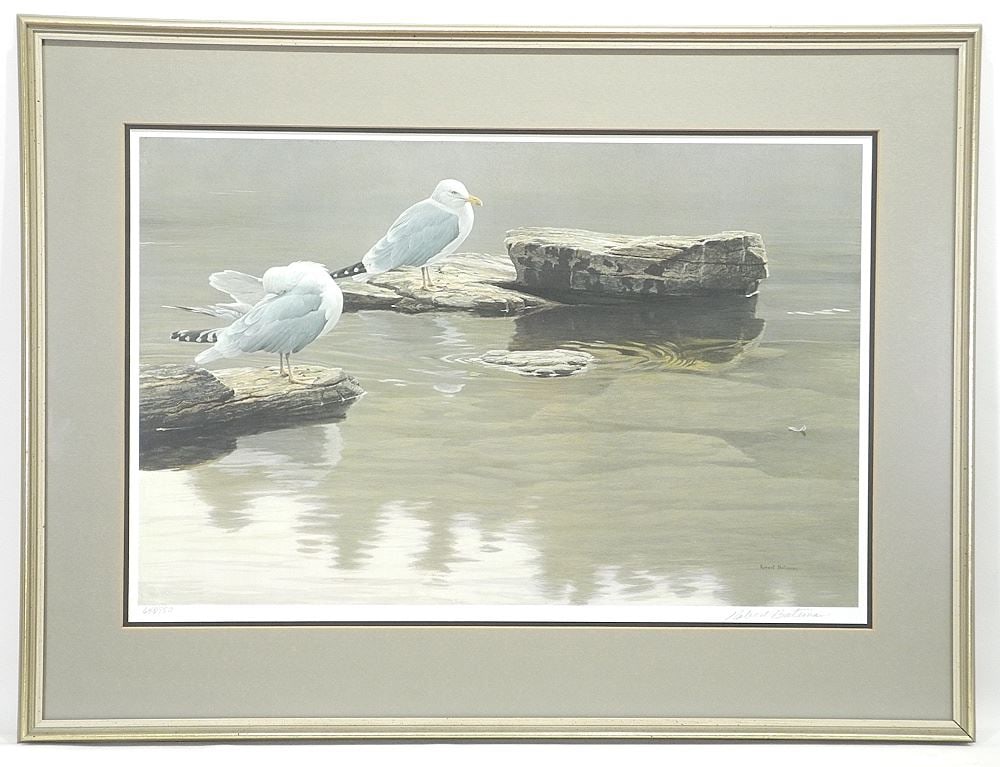 LEP signed Robert Bateman, 17 3/8 x 26", "Still Morning Herring Gulls". (1 of 4)