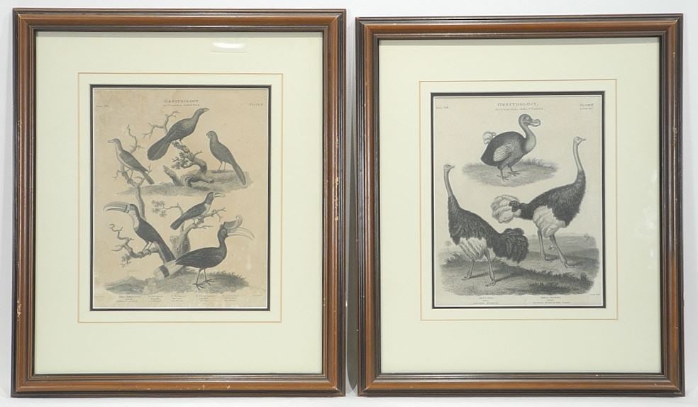 Two Late 18th C. Ornithological Engravings Incl. Dodo (10 1/4 x 8") w/2 1830 Upper Canada Lett (1 of 8)