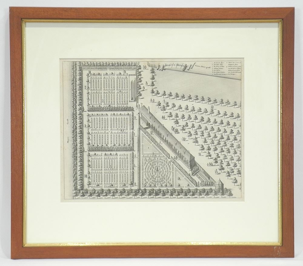 Engraving "Hortus Medicus"/Amsterdam /1693/11 x 14". (1 of 3)