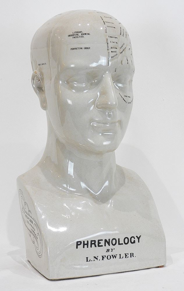 Reproduction Ceramic Phrenological Bust, 17 x 8 3/4 x 8 3/4". (1 of 2)