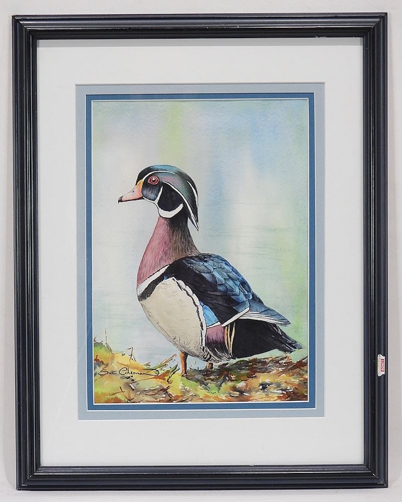Watercolour signed Sue Coleman, 11 3/4 x 8 1/4" "Wood Duck" 2015. (1 of 5)