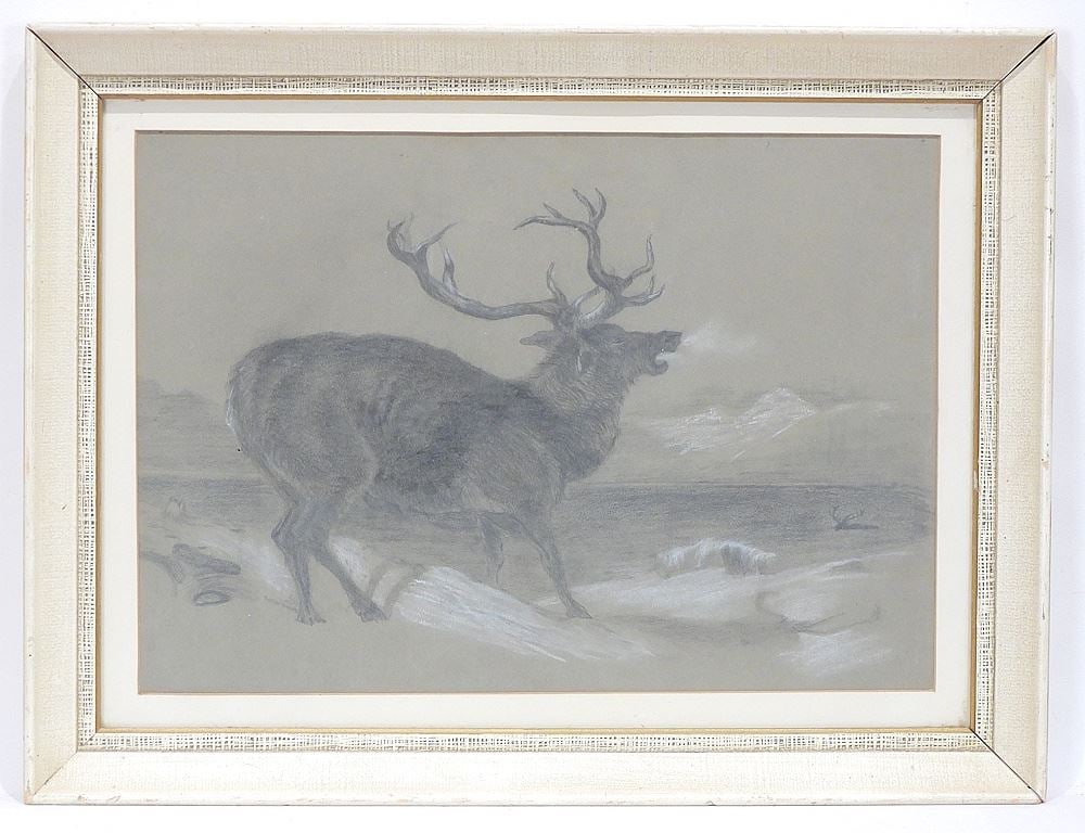 Pencil Drawing, unsigned, 14 x 19" "Elk". (1 of 2)