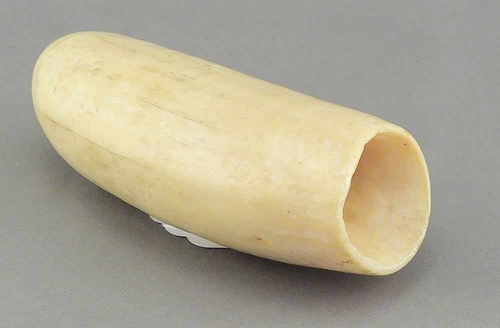 Sperm Whale Tooth, 4 3/8"L, 210g, CANADIAN BIDDERS ONLY. (1 of 3)