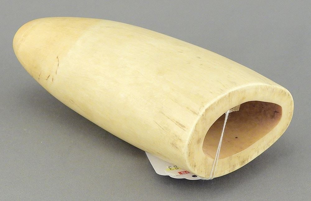 Sperm Whale Tooth, 4 7/8"L, 405g, CANADIAN BIDDERS ONLY. (1 of 3)