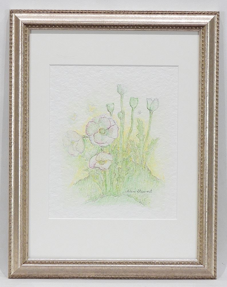 Colour Pencil Drawing signed Helen Stewart, 7 7/8 x 6 1/4" "Floral Study". (1 of 3)
