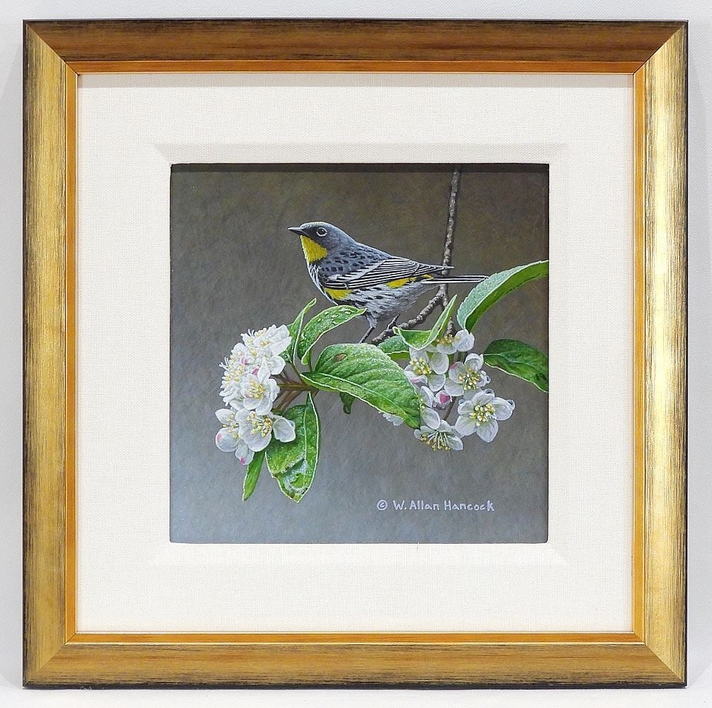 Acrylic on Board signed W. Allan Hancock, 7 1/2 x 7 1/2", "Heart of Spring Yellow Rumped Warbler".". (1 of 4)