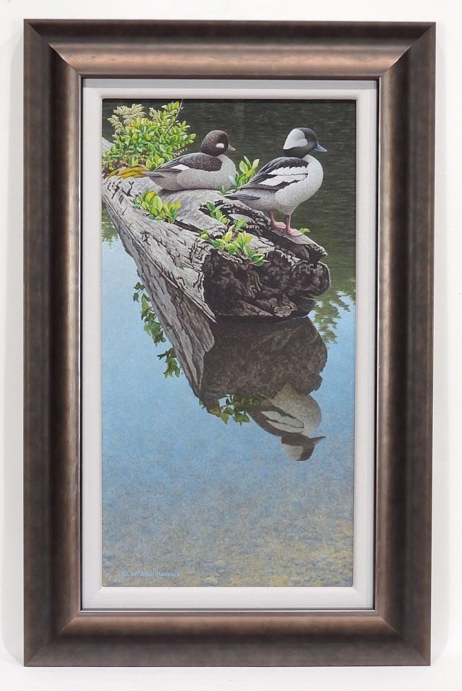 Acrylic on Board Signed W. Allan Hancock, 21" x 11", "Companions - Bufflehead Ducks". (1 of 6)
