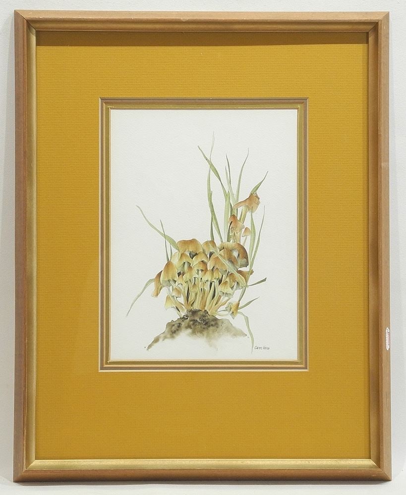 Watercolour signed Caren Heine, 6 7/8 x 9 1/4", "Toadstools" #8042.: Watercolour signed Caren Heine, 6 7/8 x 9 1/4", "Toadstools" #8042.