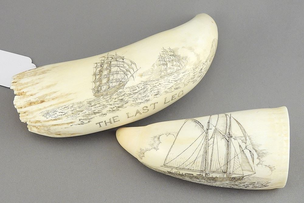 Two Scrimshaw Teeth Monogrammed JFC 1987, "The Last Leg" & "Bluenose", 6 1/4 & 4 3/8"L, 485g. (1 of 7)