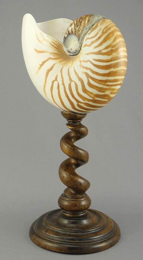 Nautilus Shell on Stand Base Marked AM USA-HL, est 1968, 11"h.: Nautilus Shell on Stand Base Marked AM USA-HL, est 1968, 11"h.